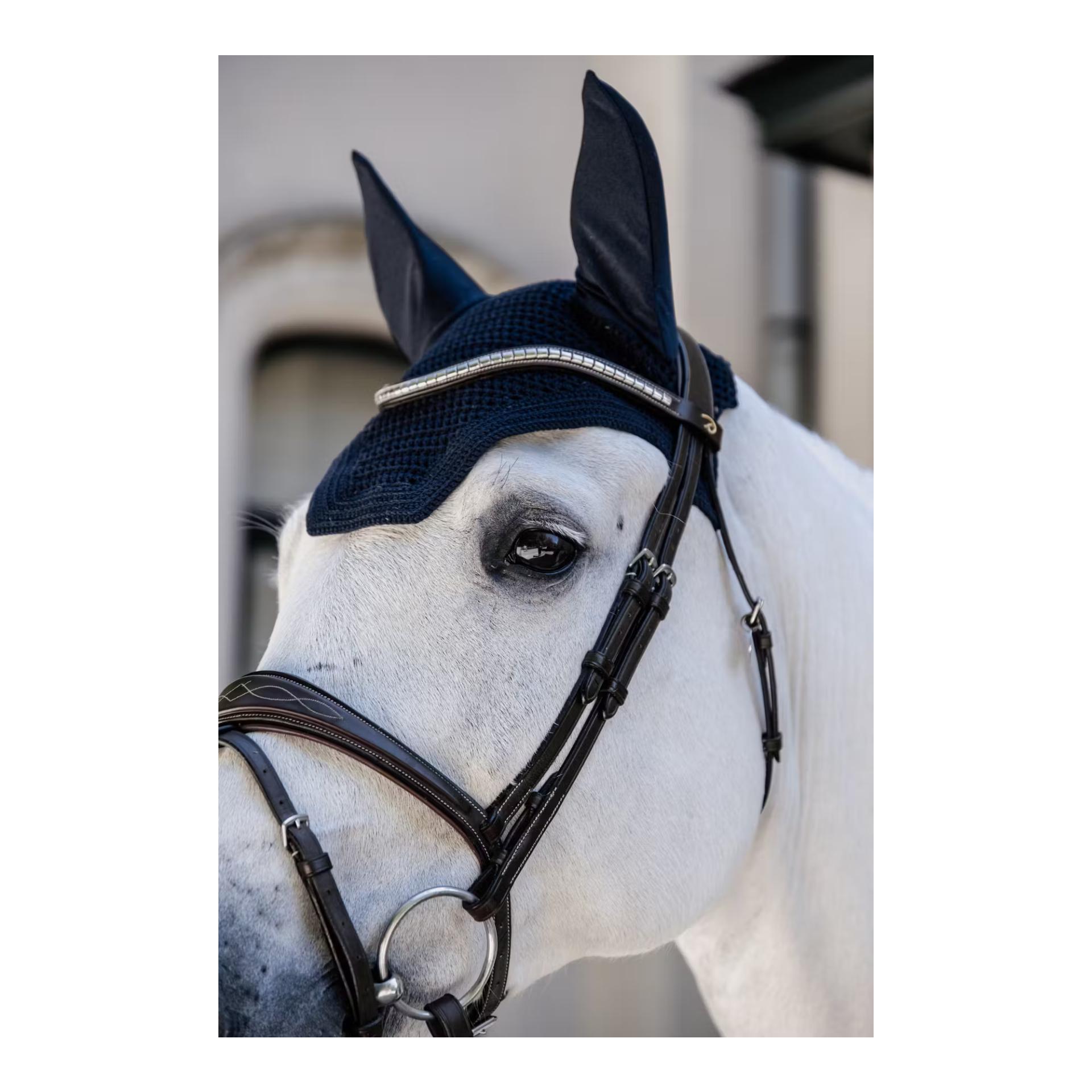 Kentucky Fliegenhaube Wellington Large