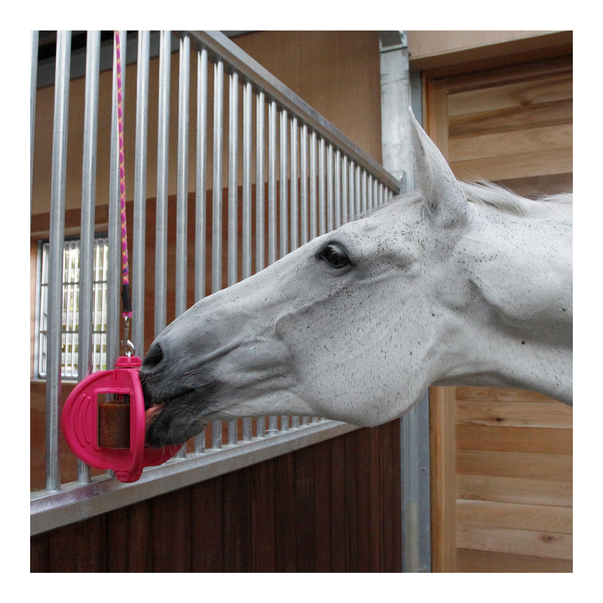Bizzy Horse Bizzy Ball
