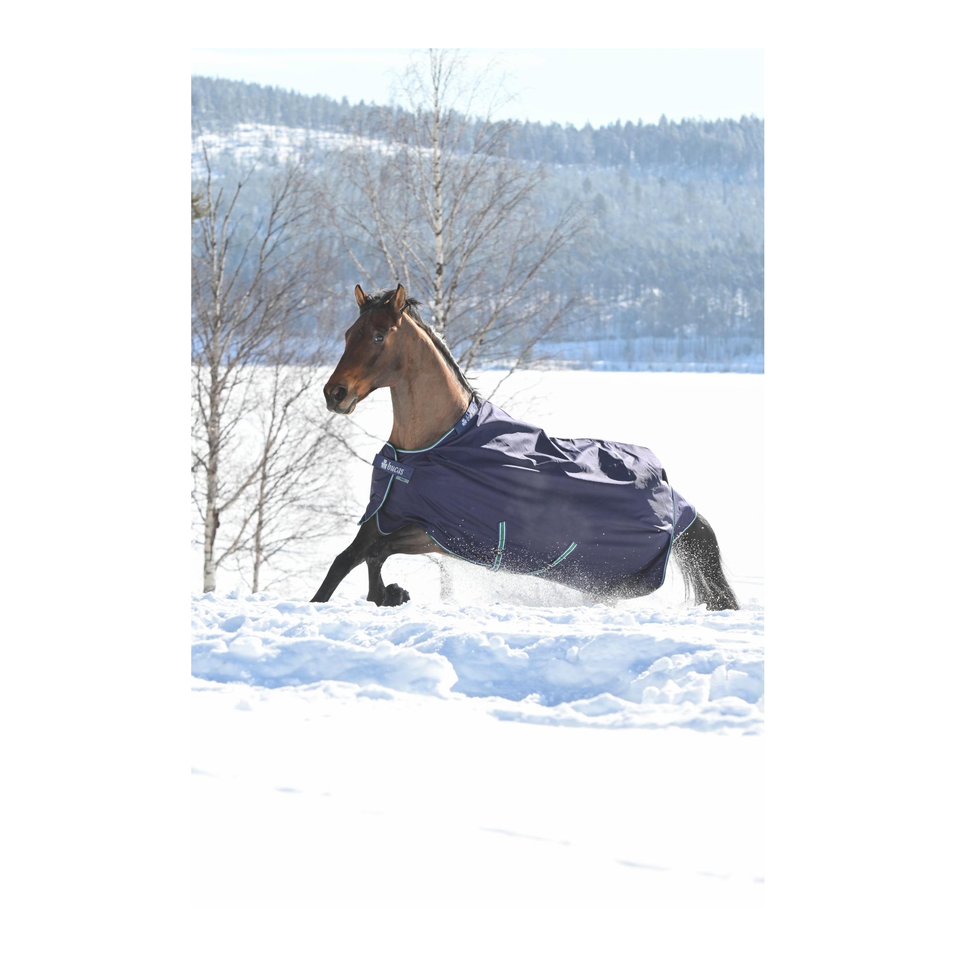 Bucas Couverture d'extérieur Smartex Medium 150g - blue