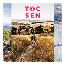 Uvex Tocsen Crashsensor