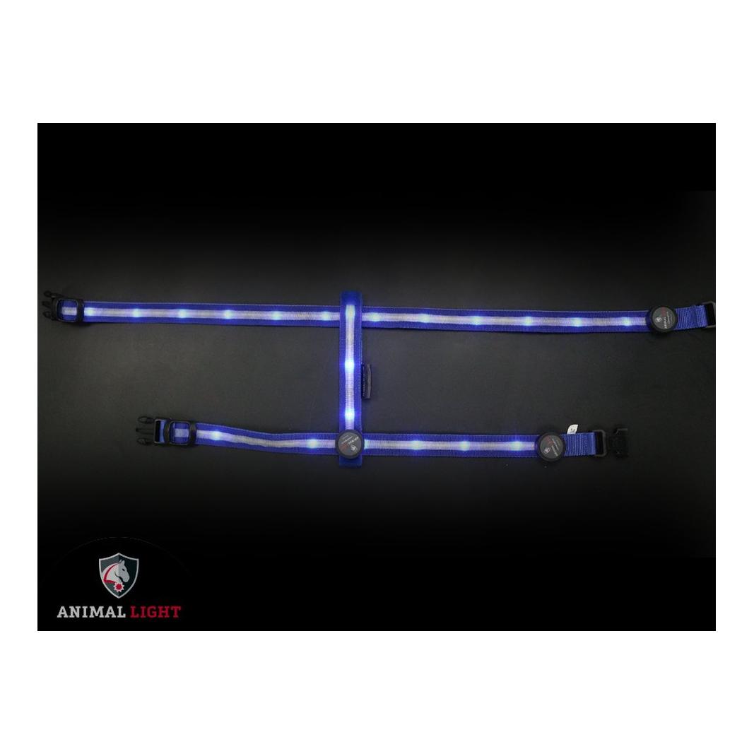 Animal Light Leucht - Hundegeschirr "Ninja" - blau