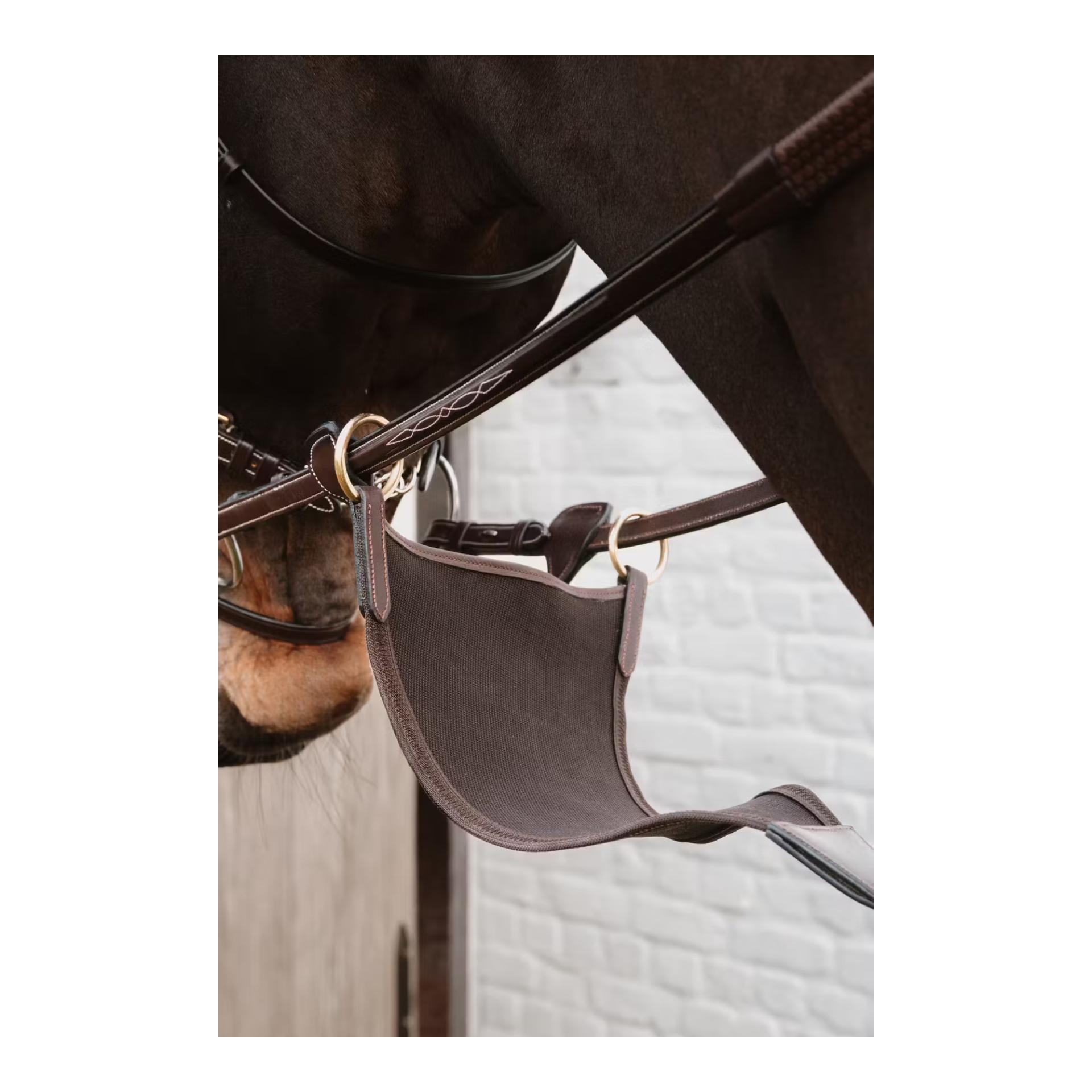 Dy'on Geschlossene Elastische Martingal
