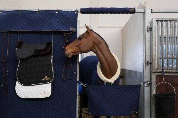 Kentucky Boxen Kopfschutz - navy