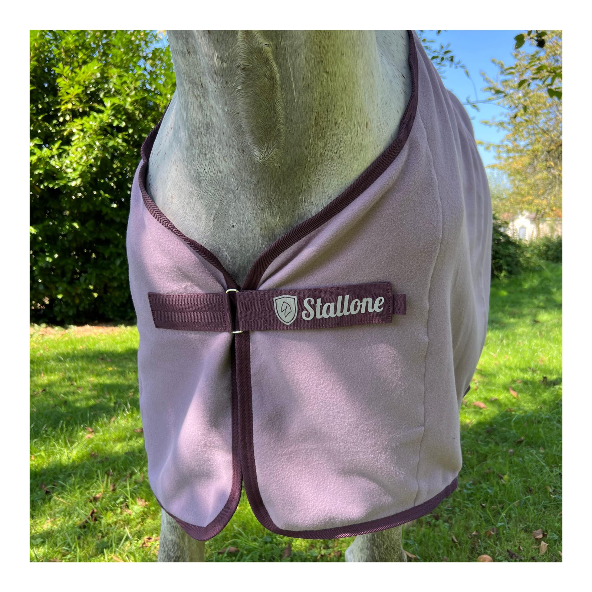 Stallone Abschwitzdecke Hauptner Pferd
