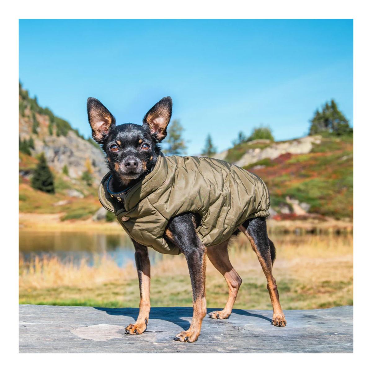 Manteau pour chien Kitzbühel