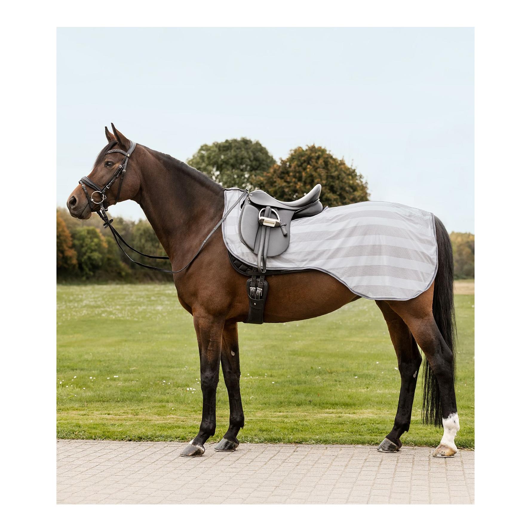 Waldhausen Fliegen-Ausreitdecke Comfort