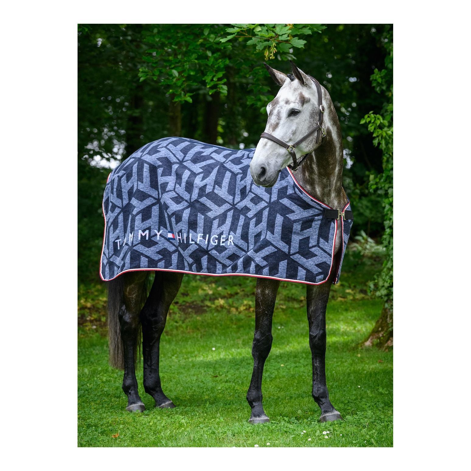 Couverture séchante TH Performance Dralon Allover Monogram DESERT SKY S