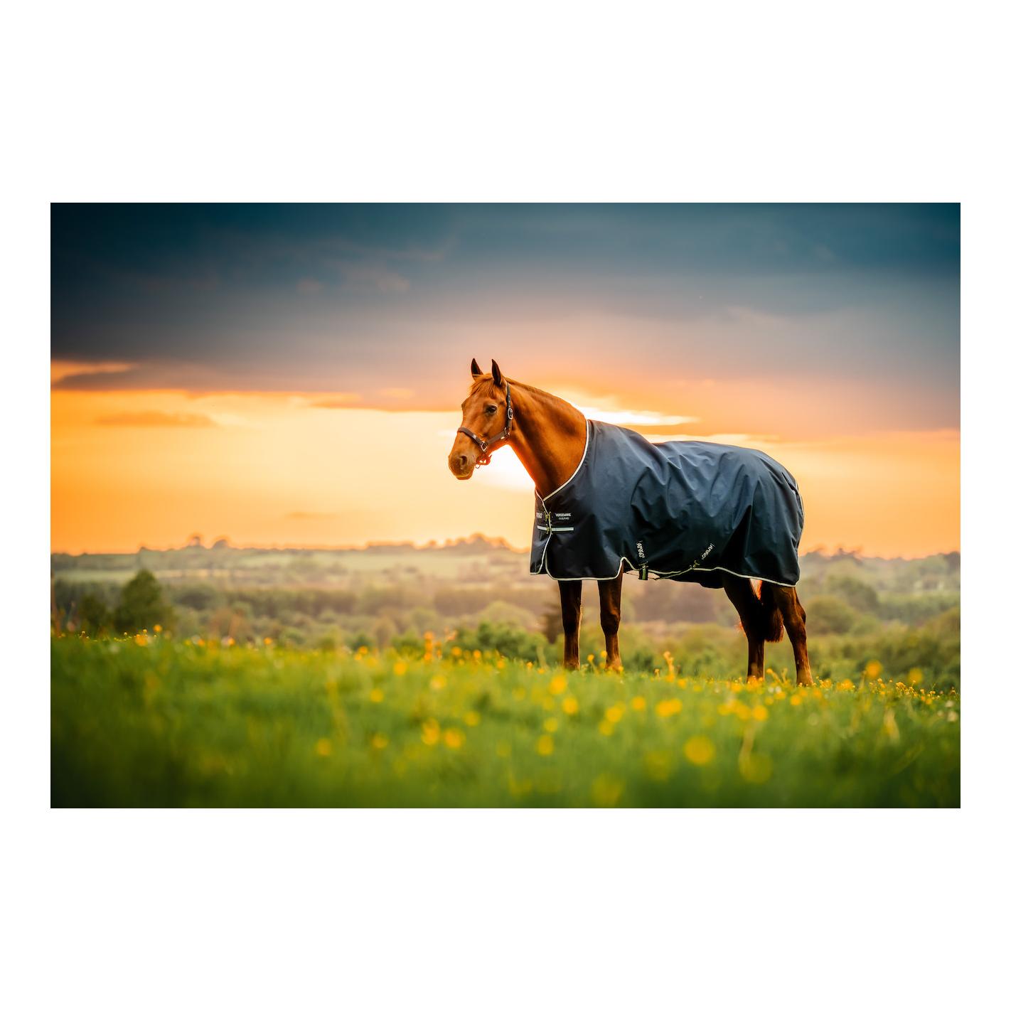 Horseware Weidedecke Amigo Ripstop 900 0g