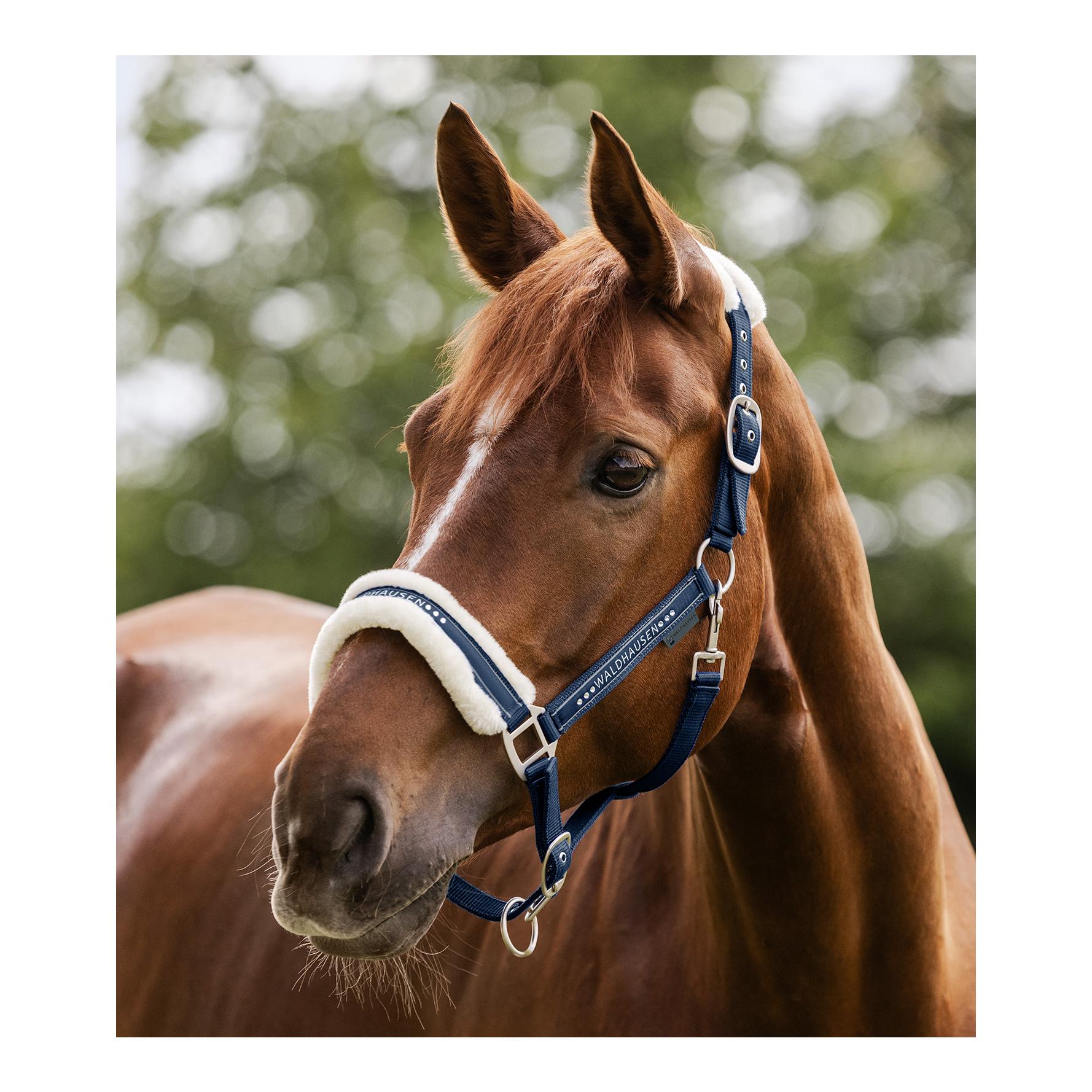 Waldhausen Halfter Elegant