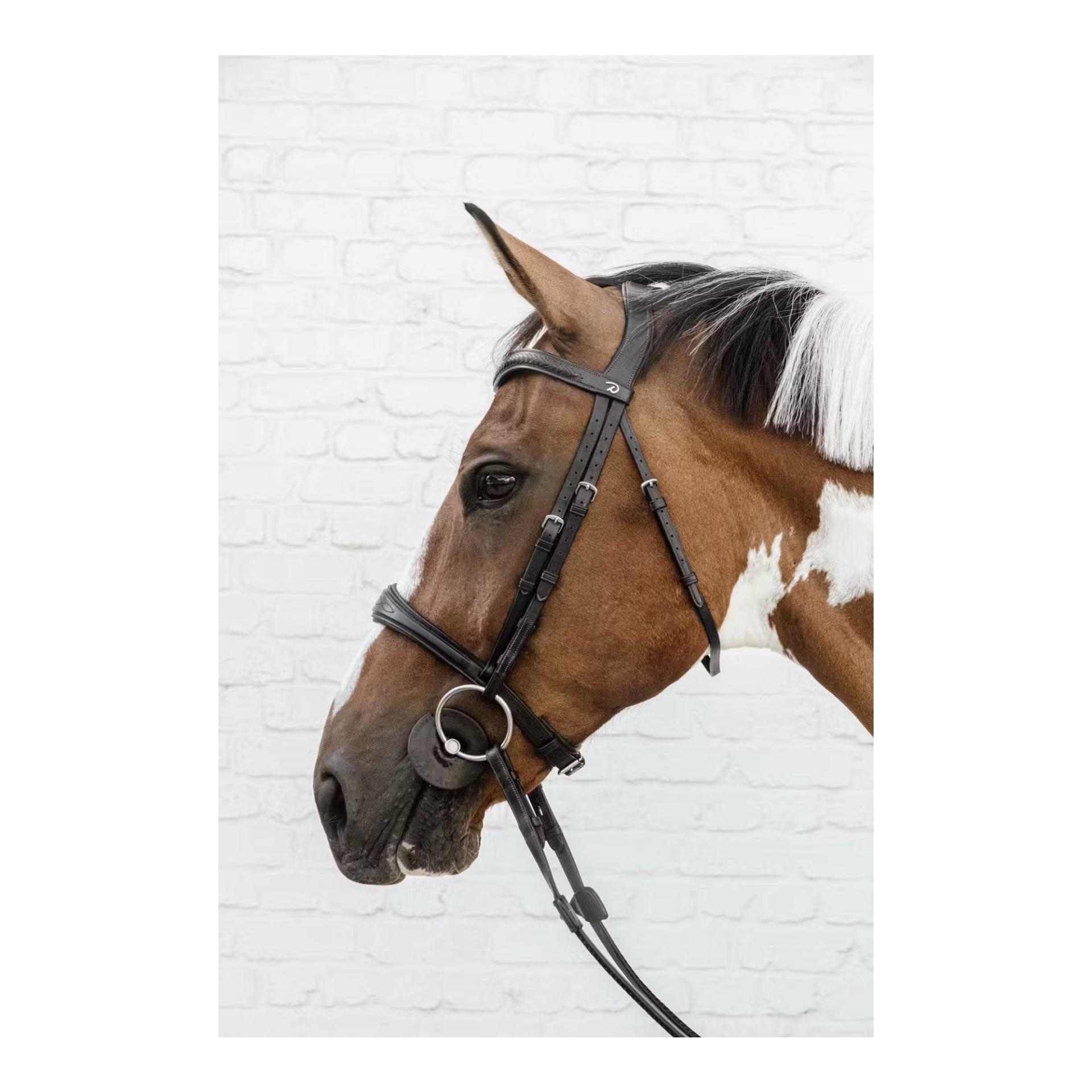 Dy'on Anatomic noseband without flash