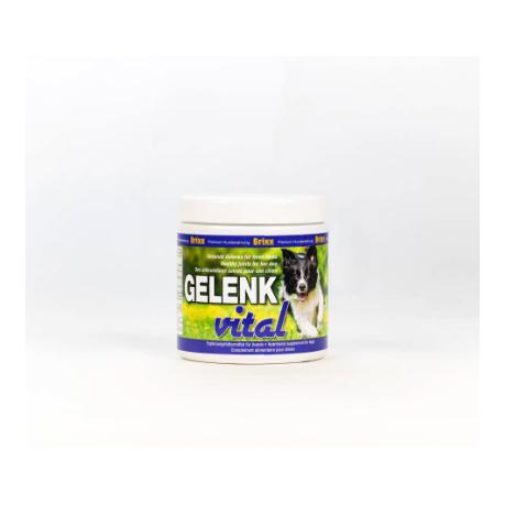 Starhorse Brixx Gelenk Vital für Hunde