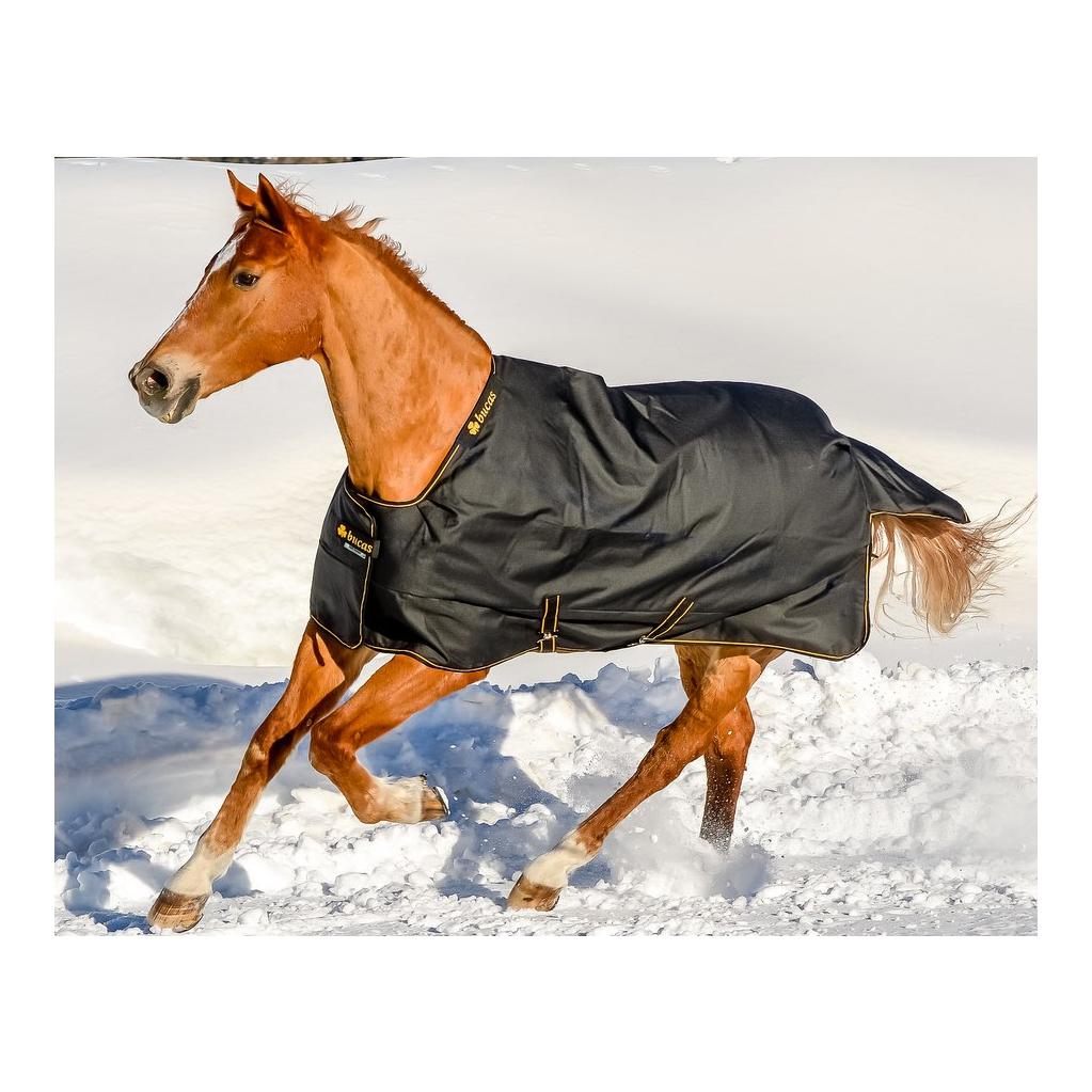 Bucas Irish Turnout EXTRA Classic 300g Isolation - schwarz/gold
