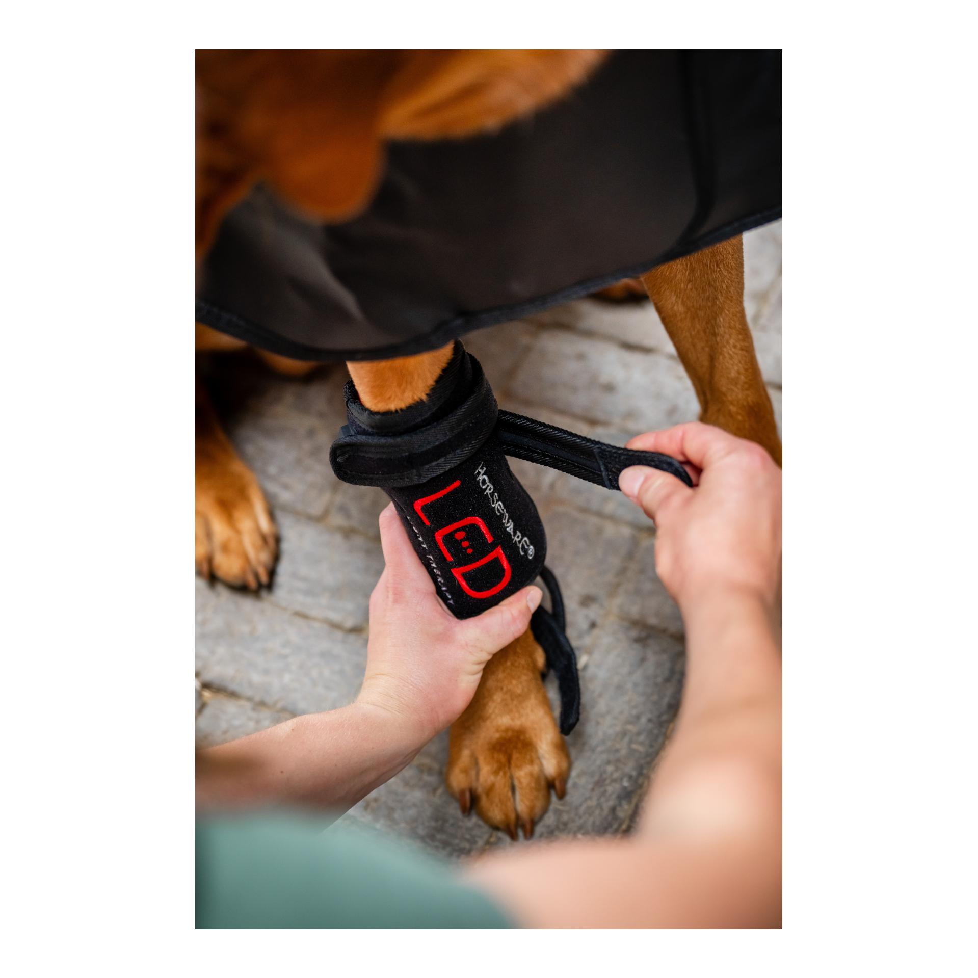 Horseware Horseware LED Red Light Therapy
Pet Leg Wraps Pair