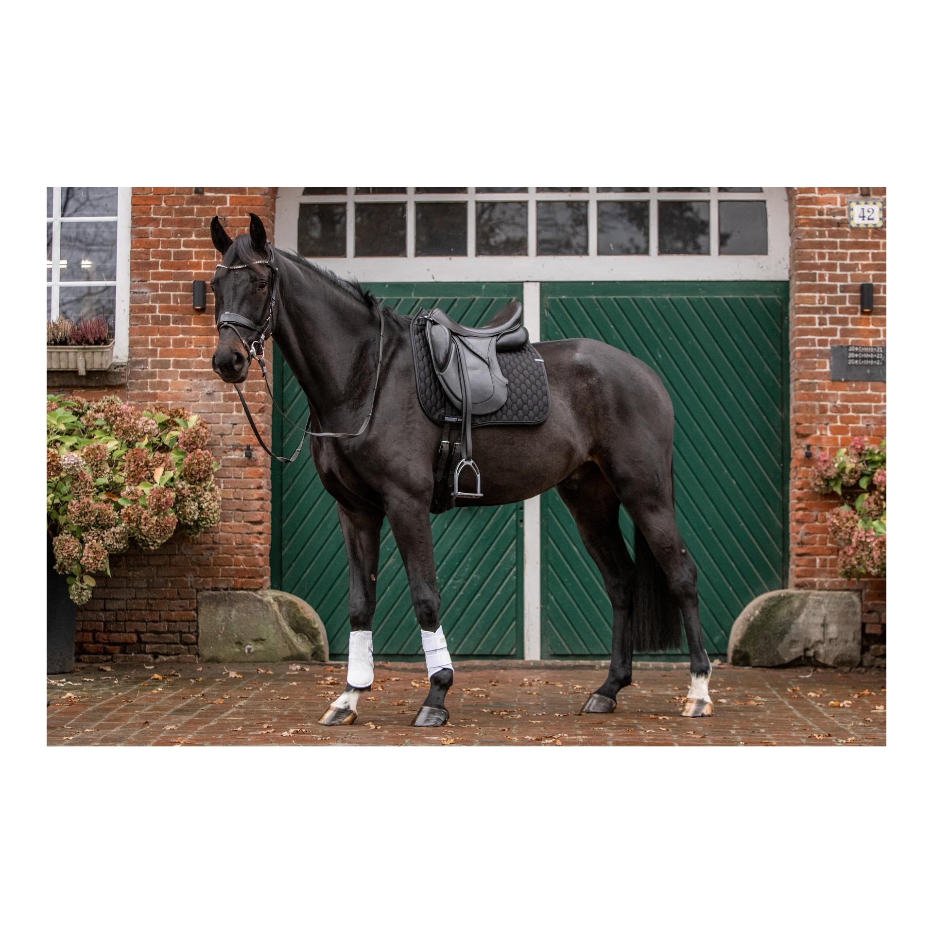 Stübben Chabraque de dressage Streamline GEN2