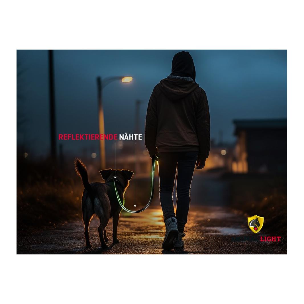 Animal Light Hundeleine Manager