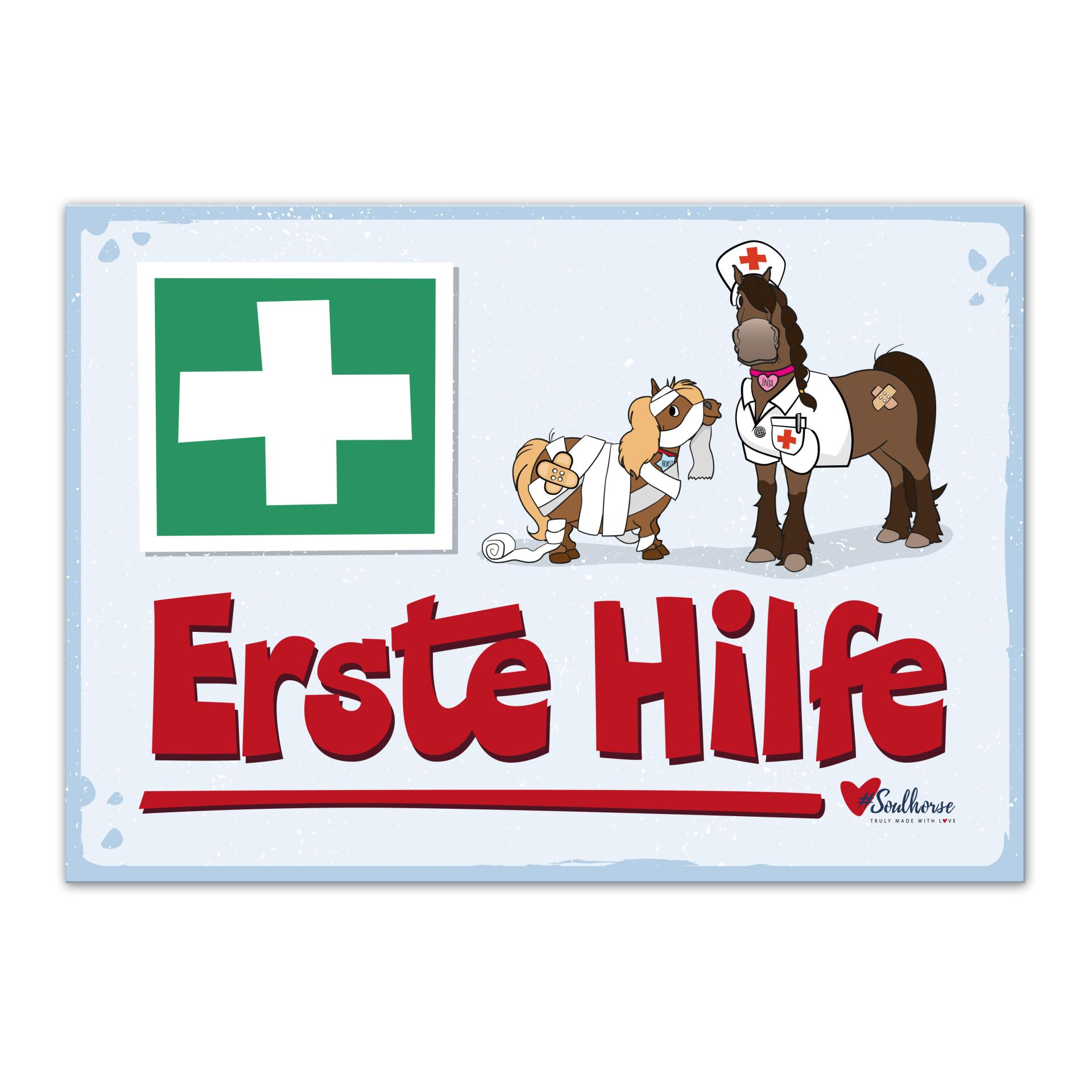 Soulhorse “Erste Hilfe” Stallschild