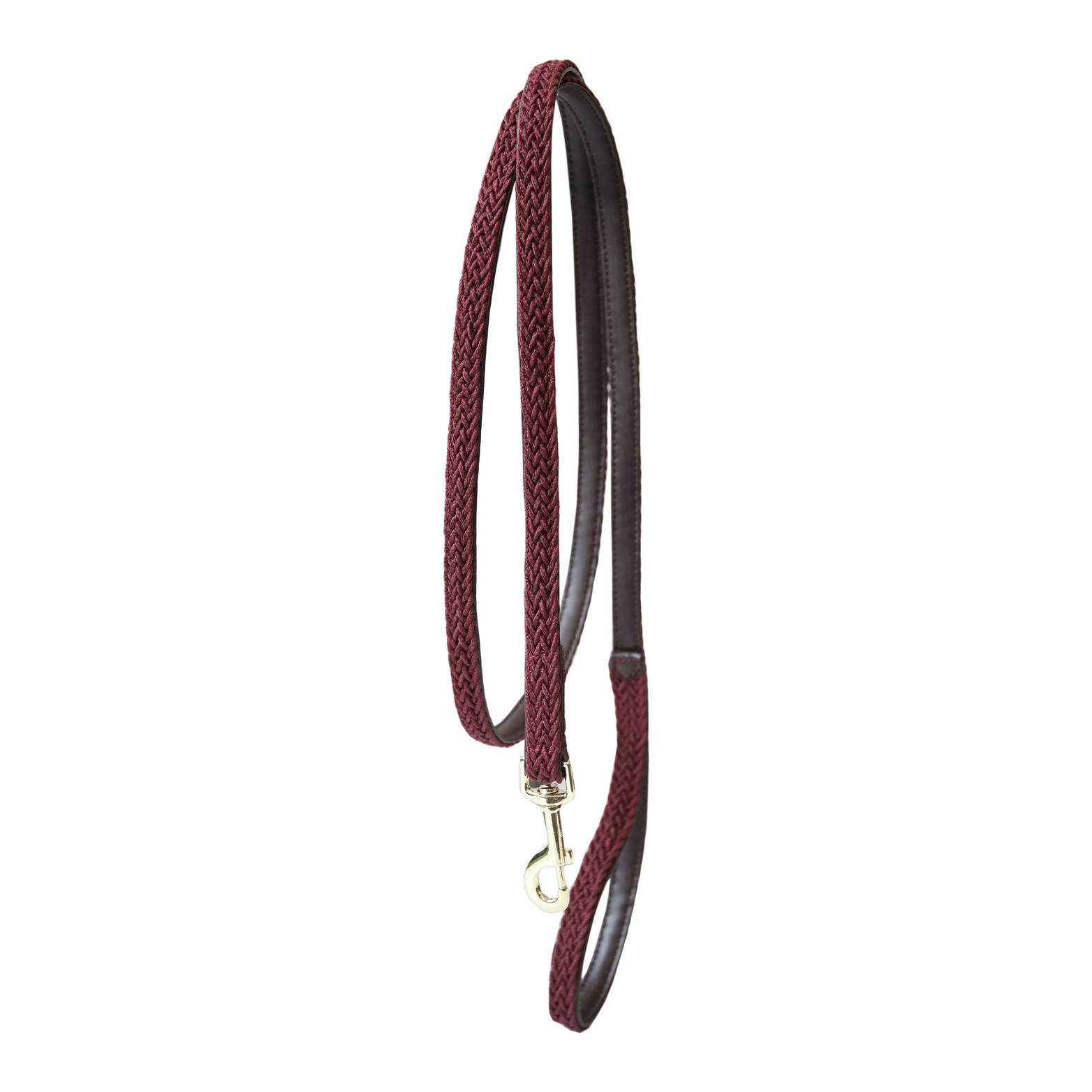 Kentucky Dogwear Laisse pour chien tressée en nylon - bordeaux
