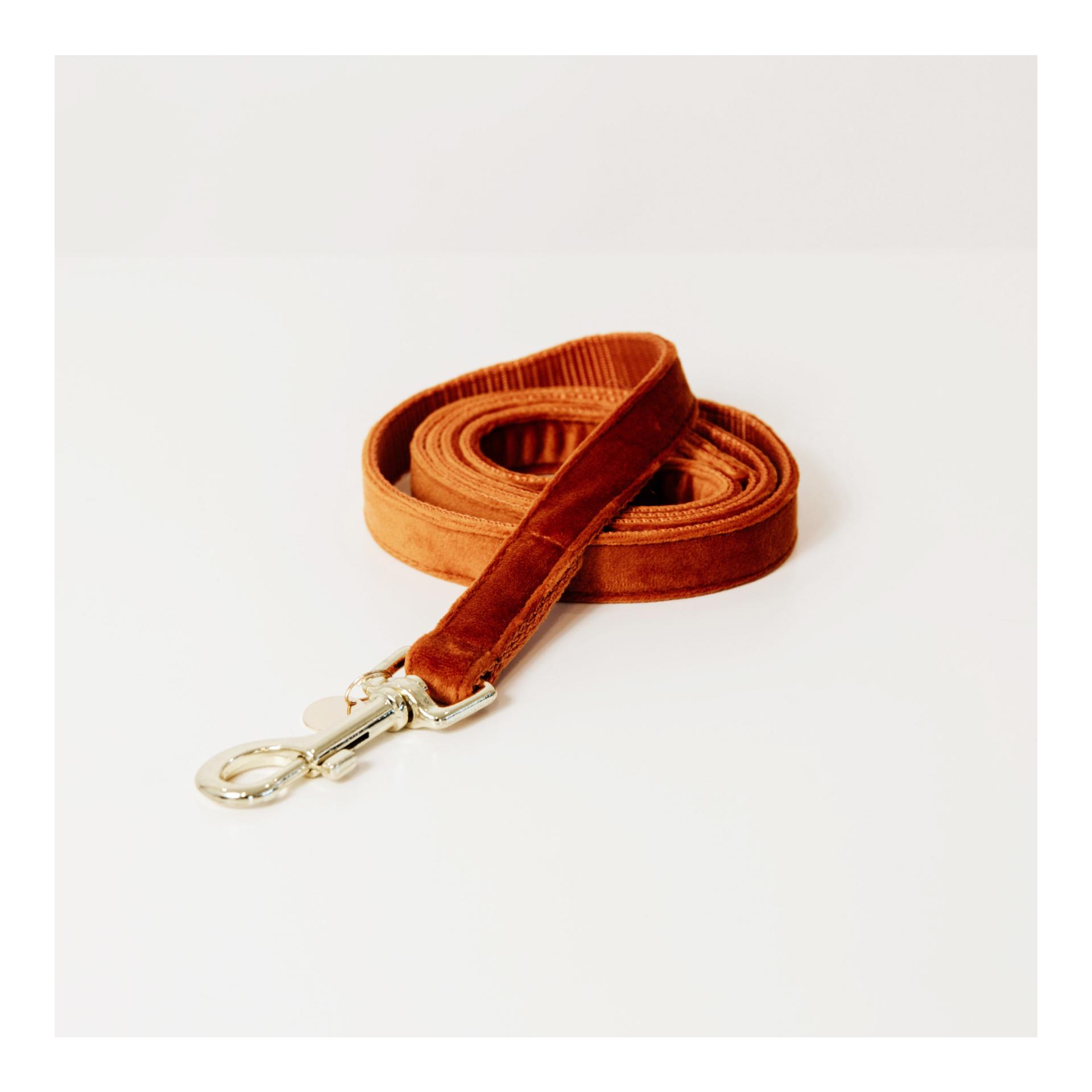 Kentucky Dogwear Laisse pour chien Velvet