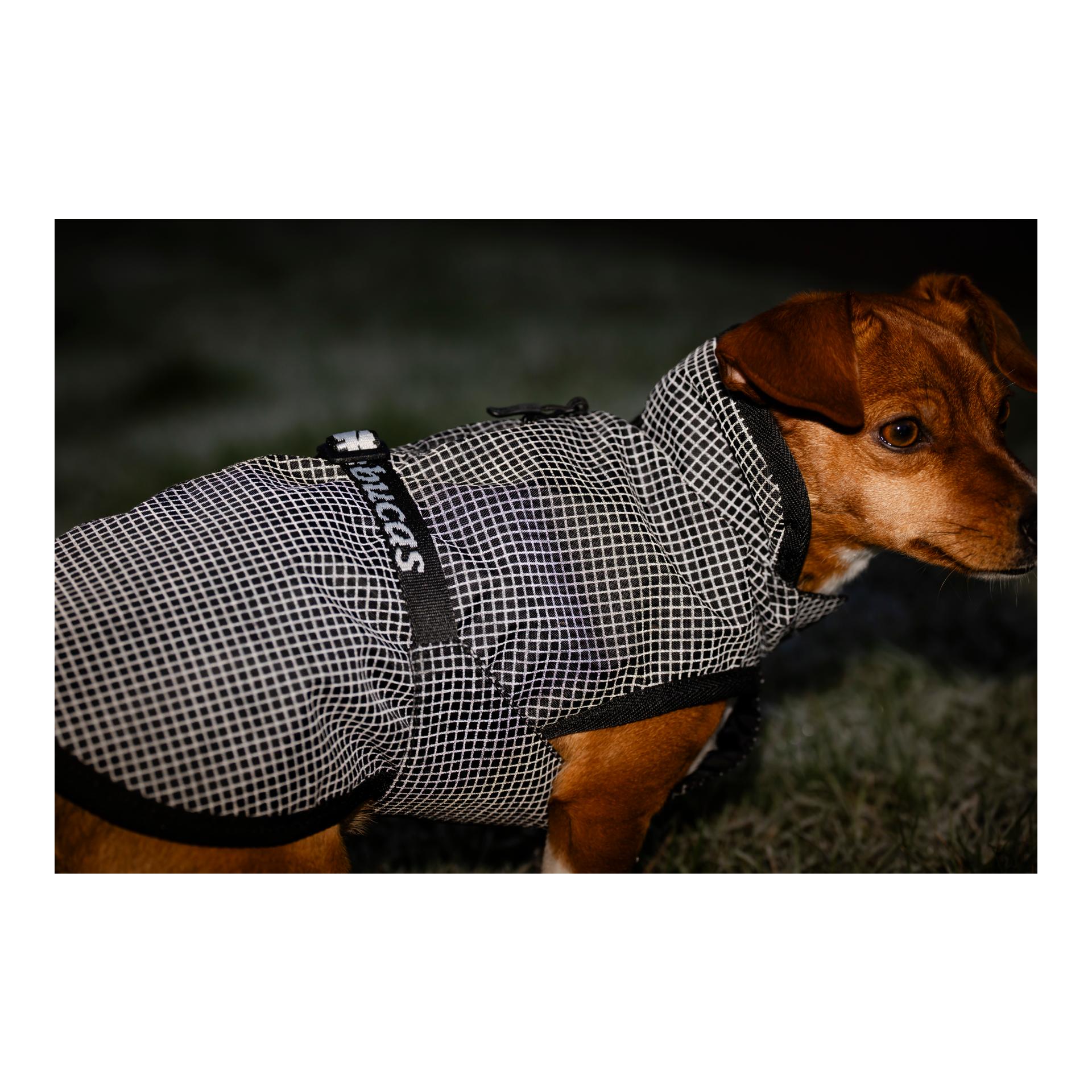 Bucas Hundedecke Refelctglow