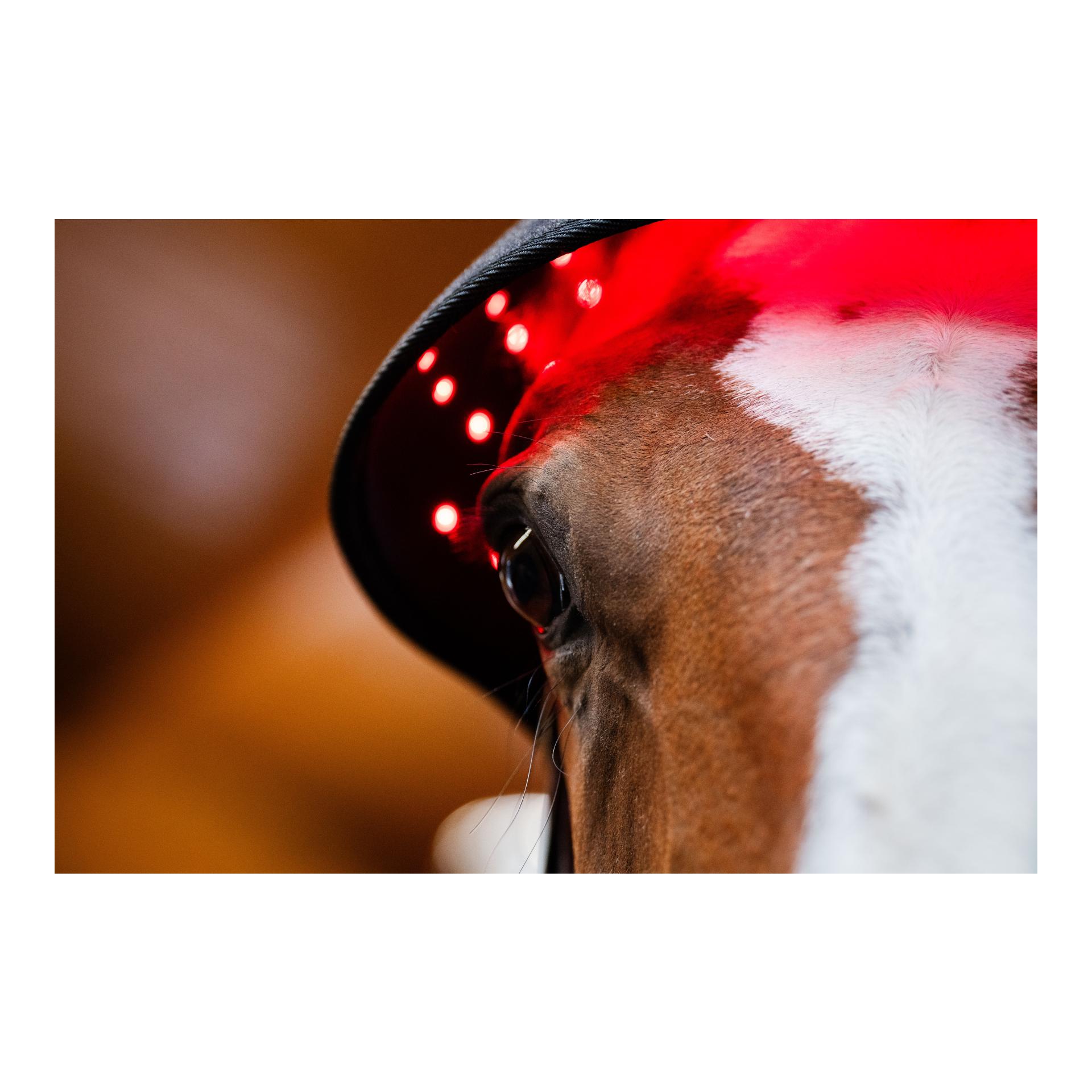 Horseware Horseware LED Red Light Therapy
Poll Cap