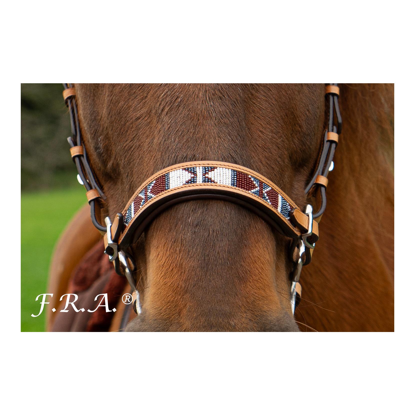 F.R.A Western Hackamore esprit