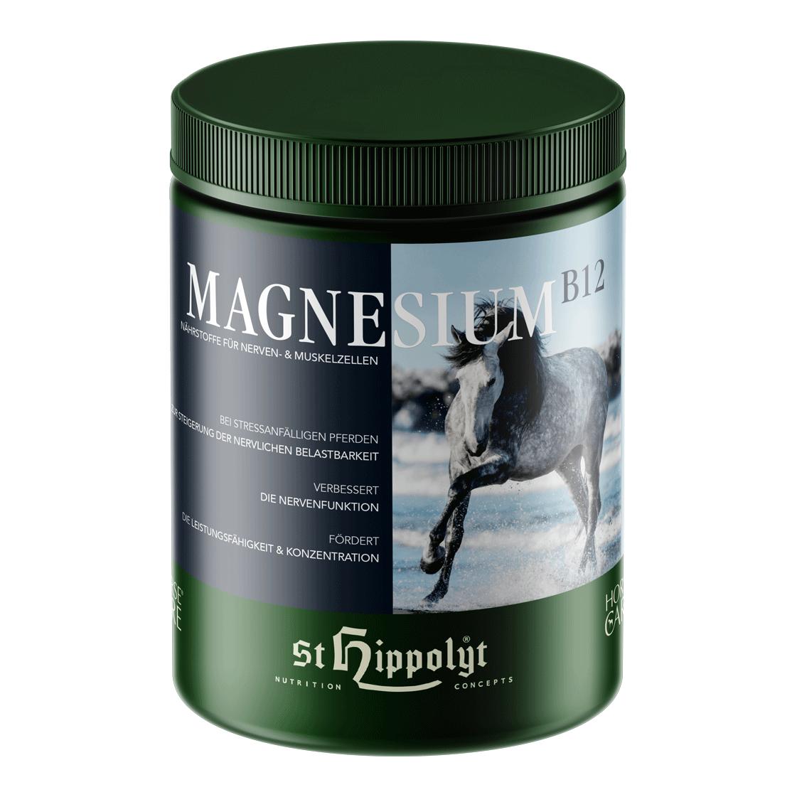 St. Hippolyt Magnesium B12