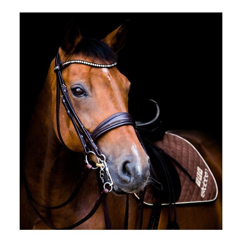 Stübben Bride Switch Magic Tack – noir ébène