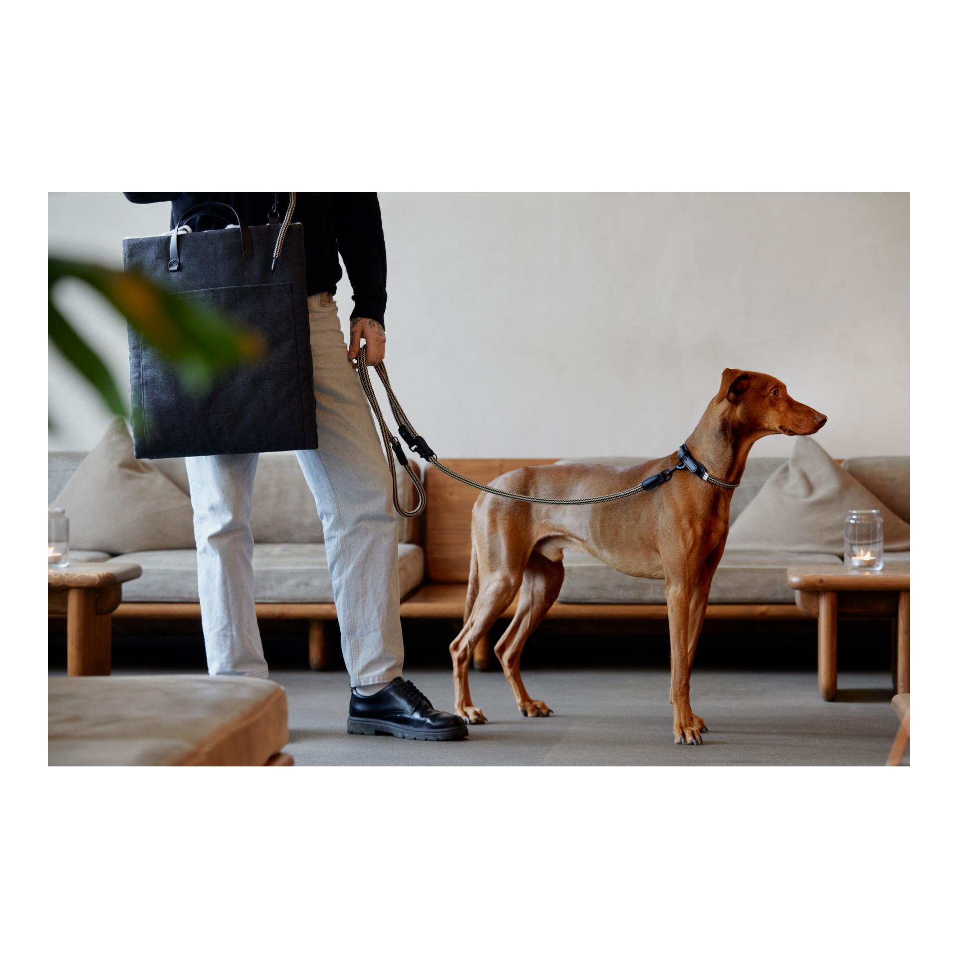 Cloud 7 Lit de voyage pour chiens Canvas