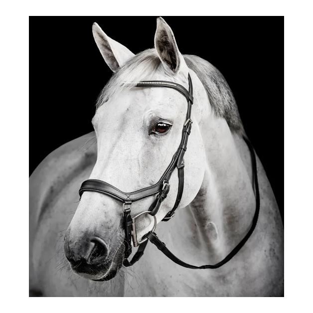 Horseware Zaum Micklem Diamante Schwarz