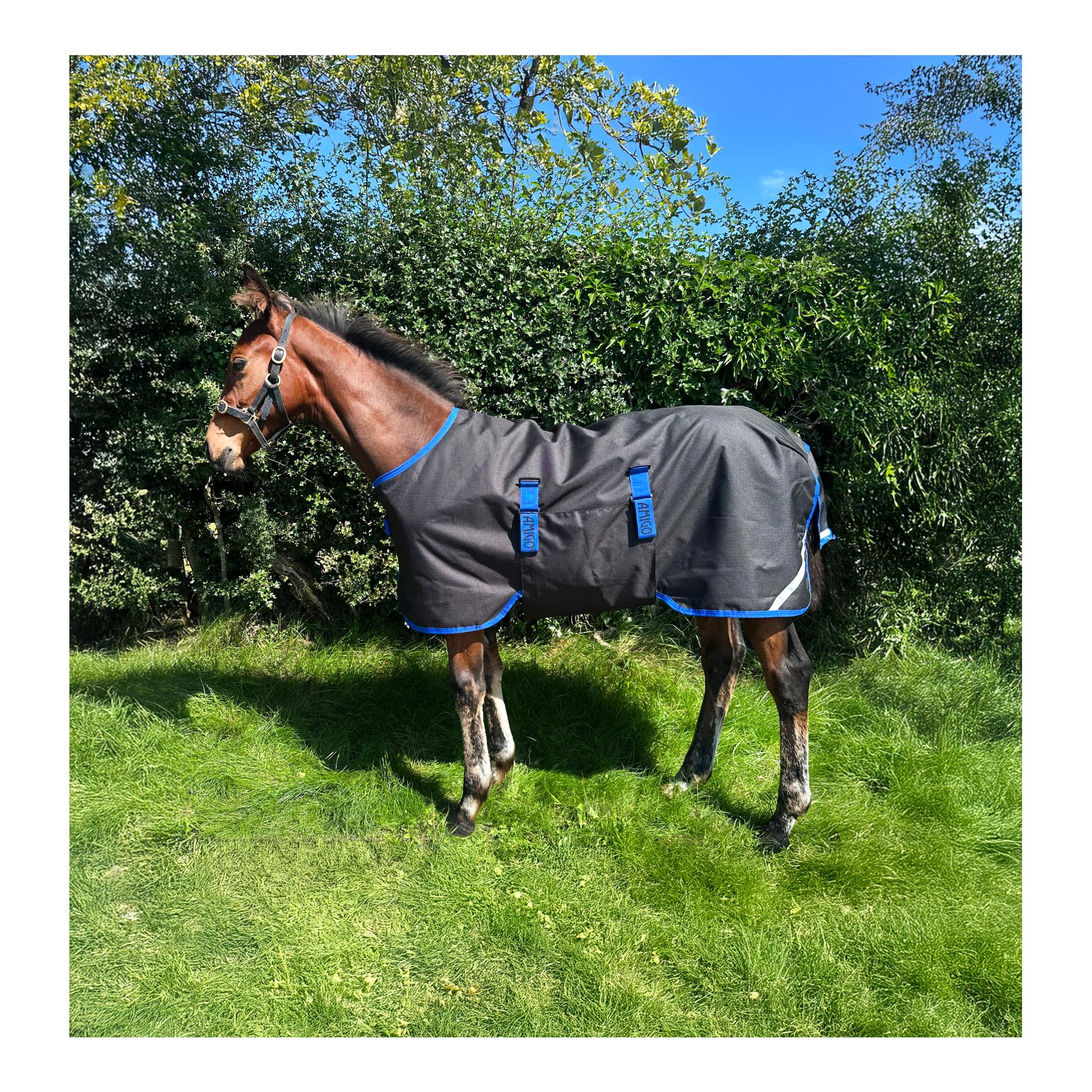 Horseware Fohlendecke Amigo Ripstop 900D 50g