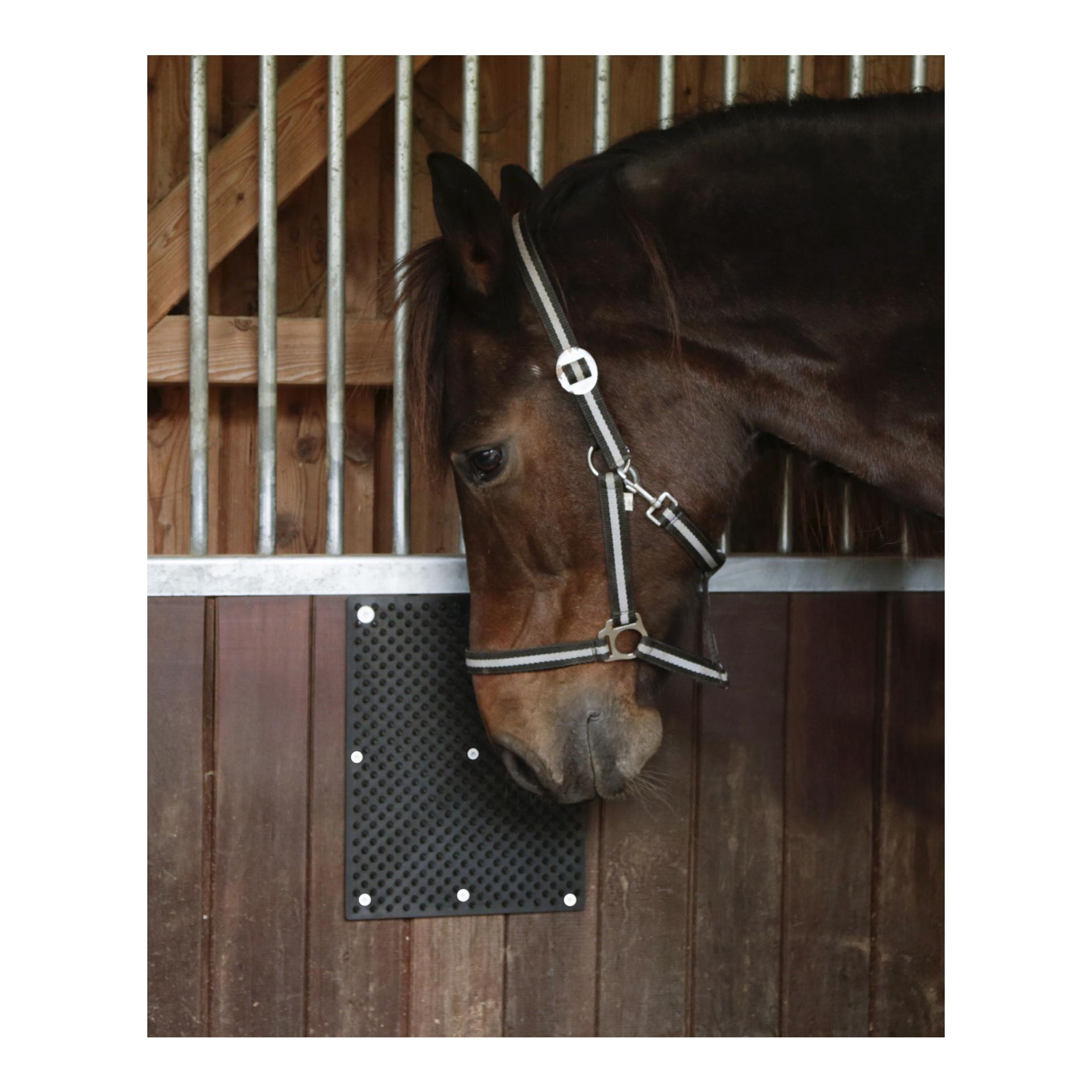 Kerbl tapis à gratter