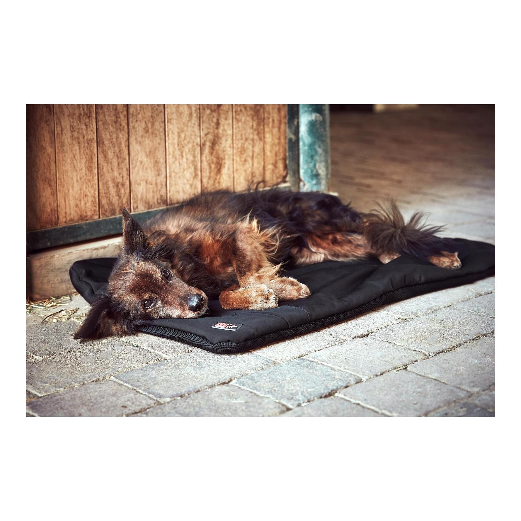Catago Coussin pour chien chauffé FIR-Tech Pro