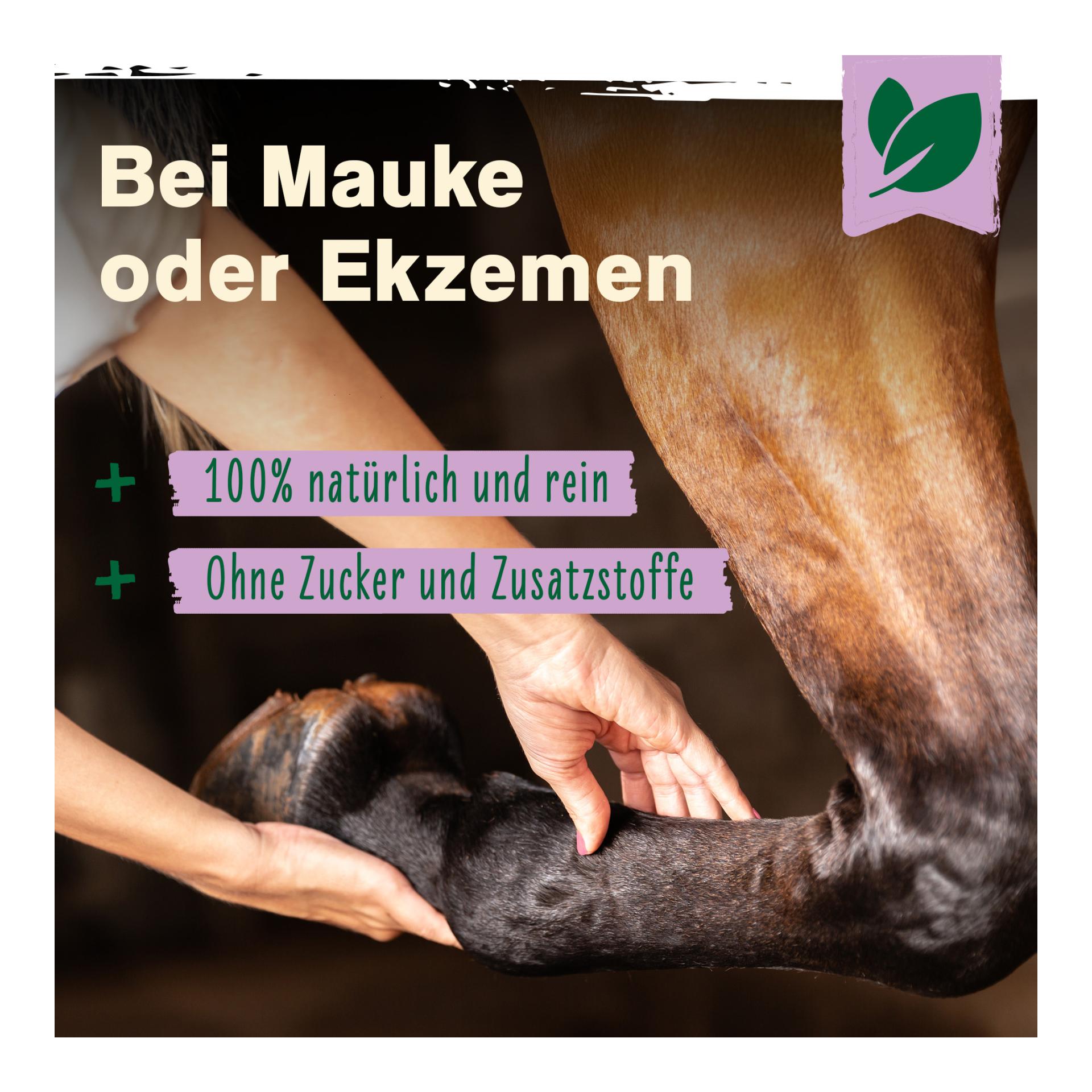 IdaPlus Biotine + zinc pour chevaux - hautement dosé - améliore la qualité et la croissance des sabots
