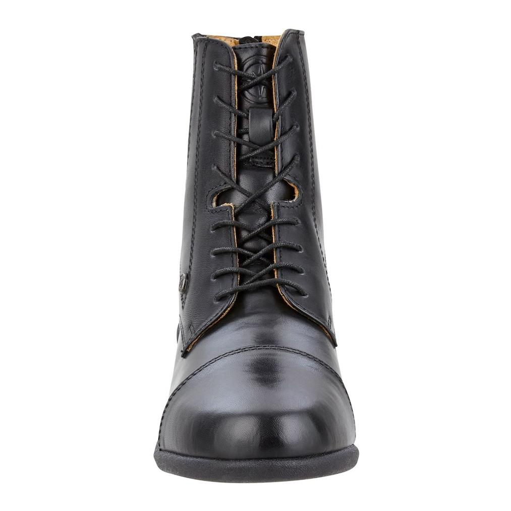 Suedwind Footwear Bottines Ultima BZ Lace regular - black