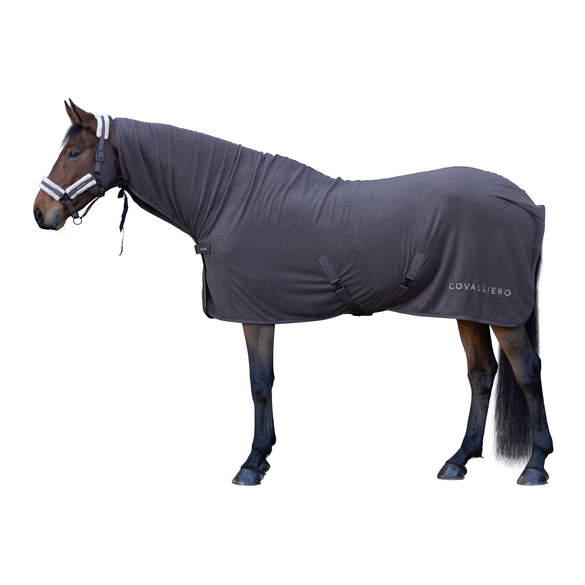 Covalliero Couverture séchante A/H 2026