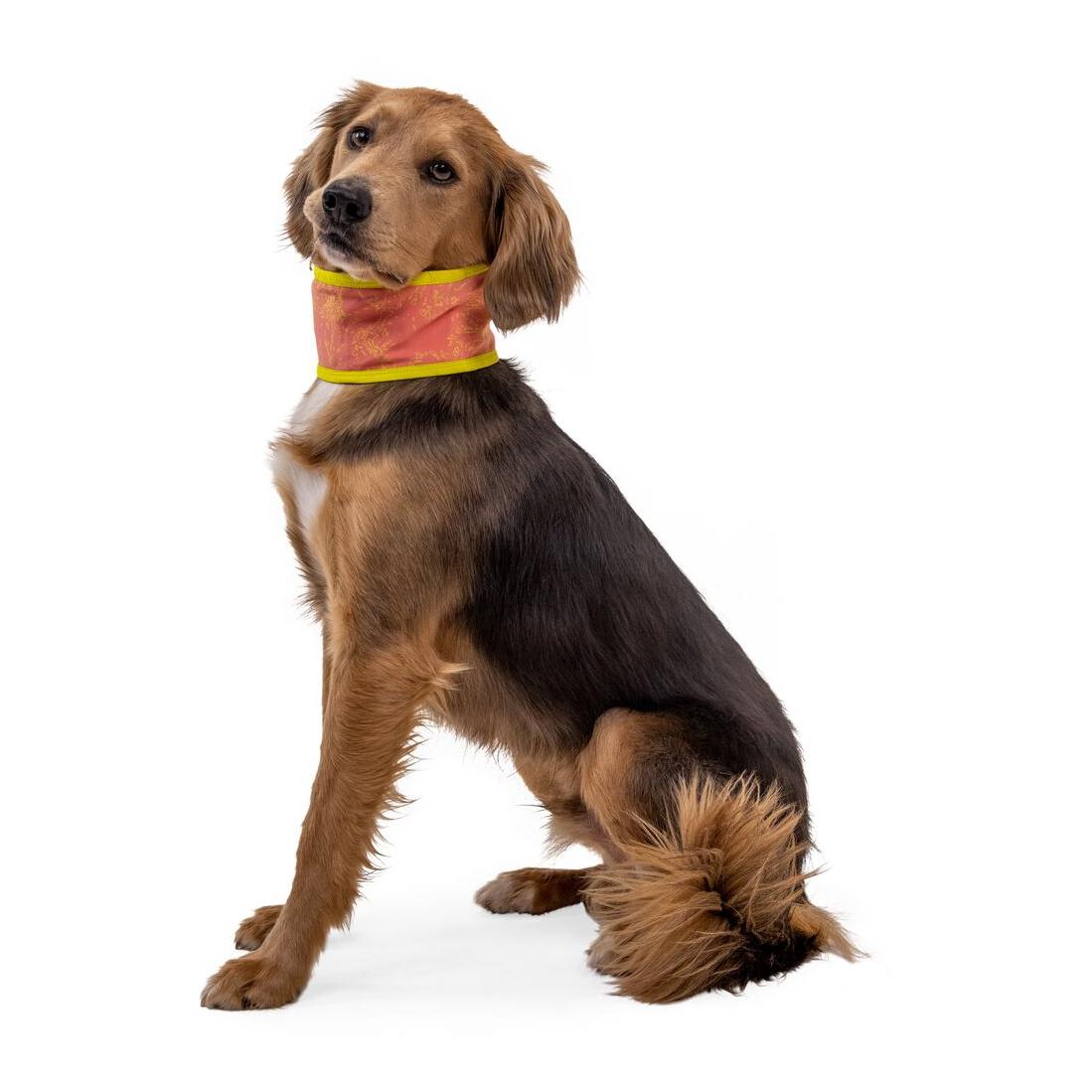 Ruffwear Foulard Swamp Cooler Zip™