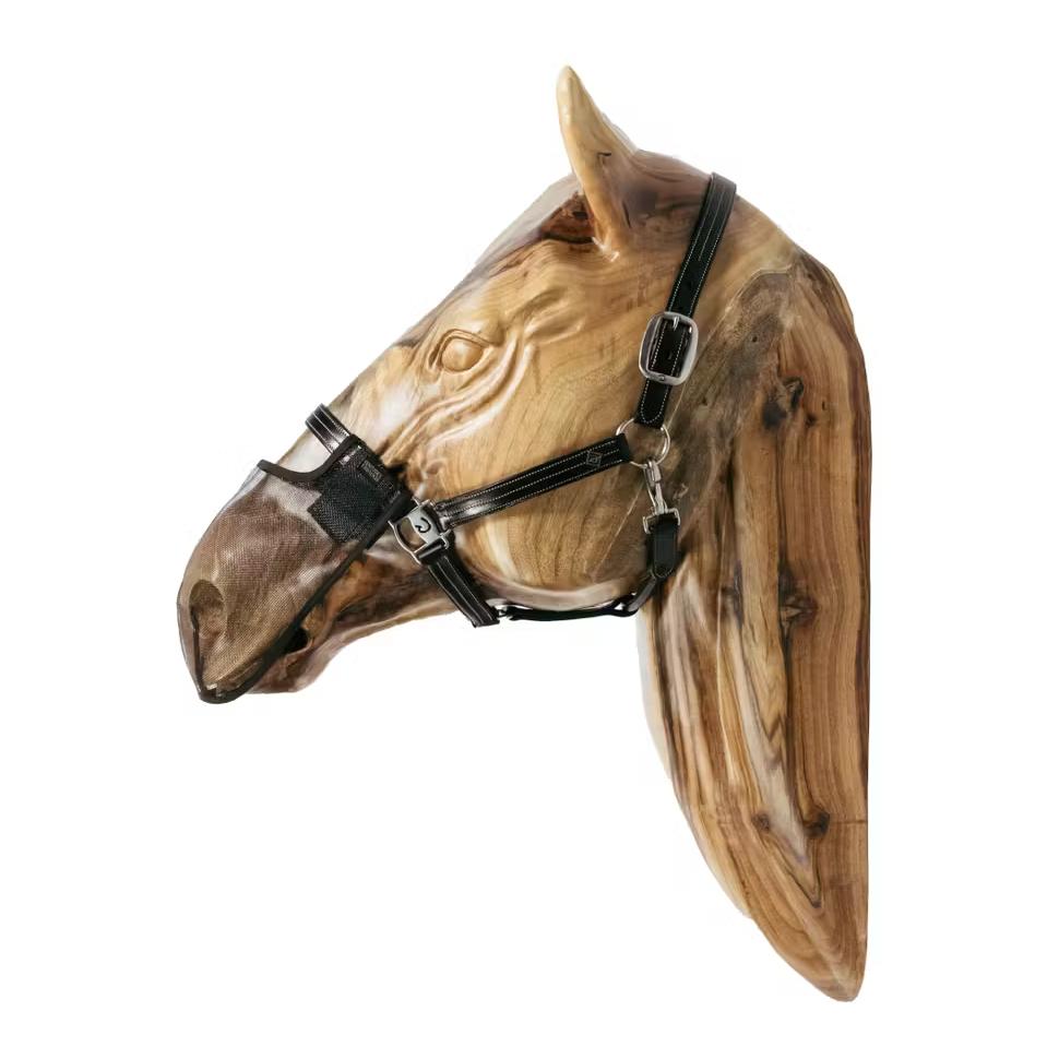 Kentucky Nasen Netz Medium