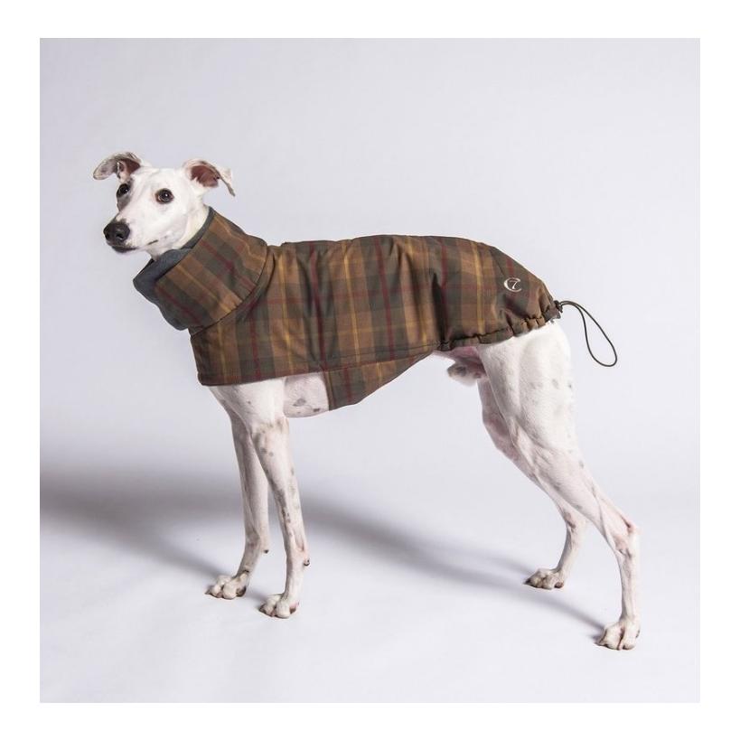 Cloud 7 Hundemantel Brooklyn Regulär - waxed tartan