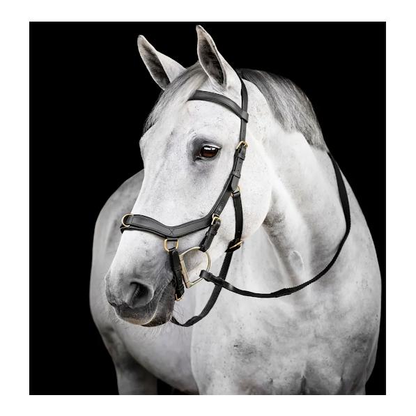Horseware Zaum Micklem Multi