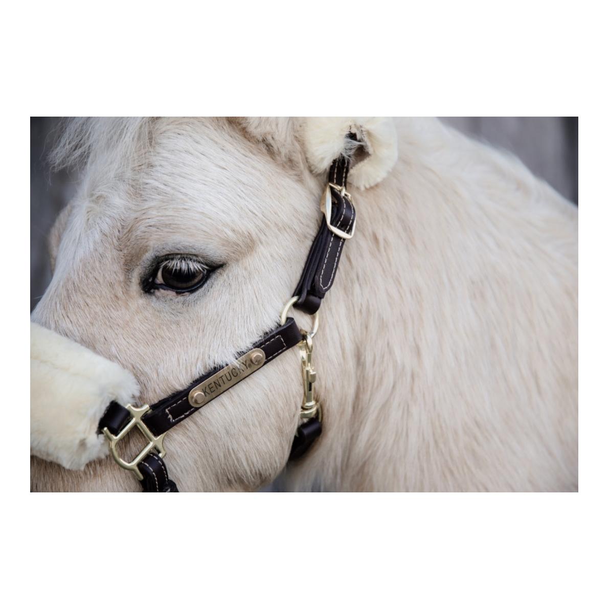Kentucky Pony Lederhalfter - braun