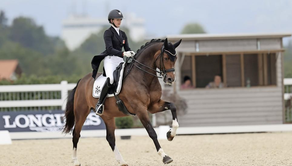 reiten
