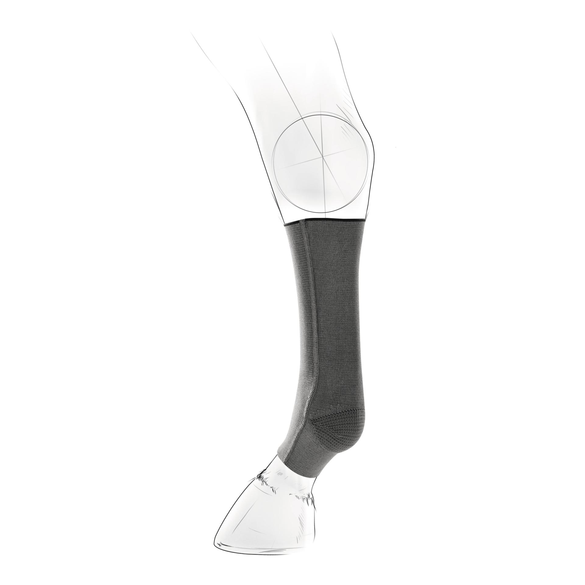 EquiCrown Kompressionsbandage fit - hinten, Silver antibakteriell