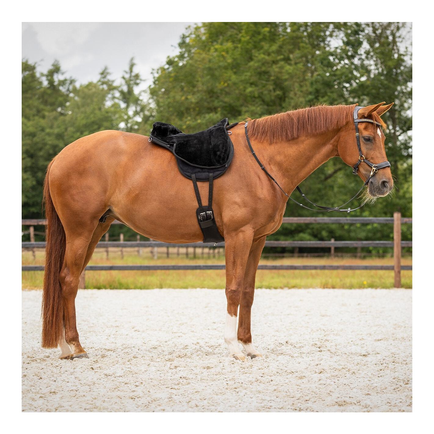 QHP Bareback Pad Super Soft – Tapis de monte à cru avec fourrure synthétique & surface antidérapante