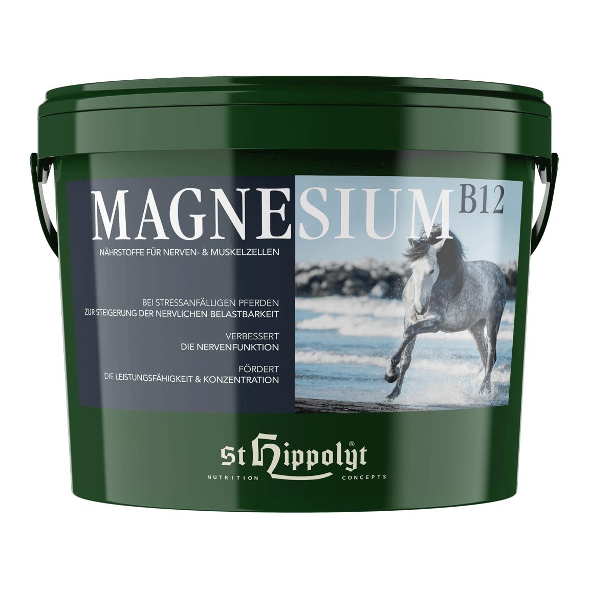 St. Hippolyt Magnesium B12