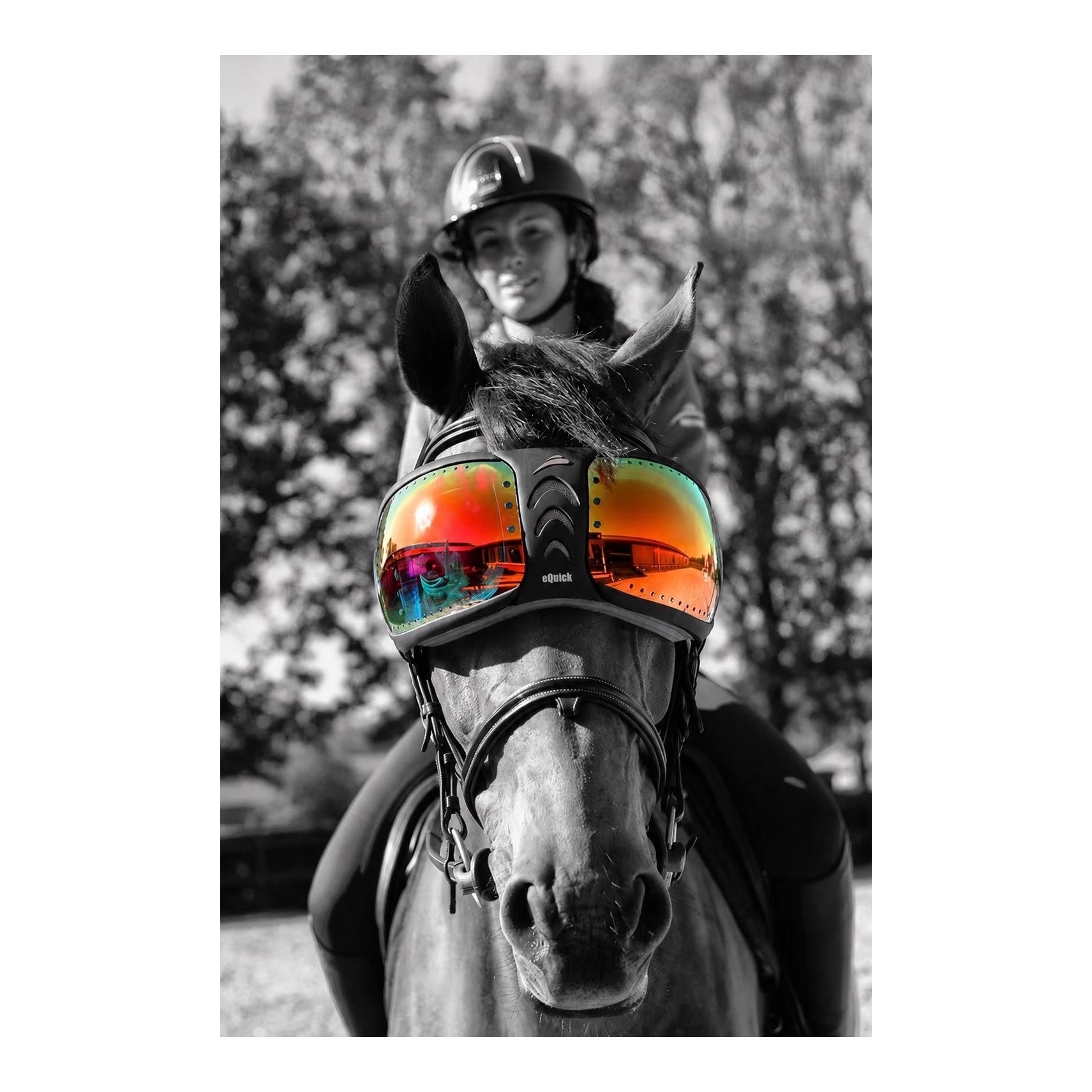 eQuick Lenses for eVysor - kit
