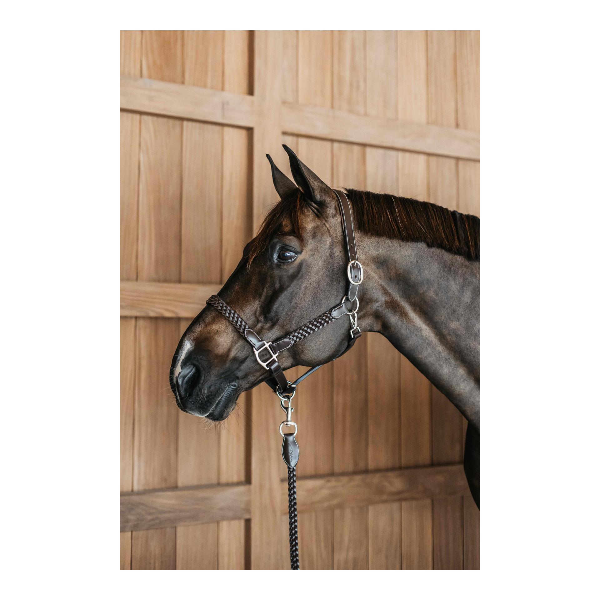 Halfter Plaited