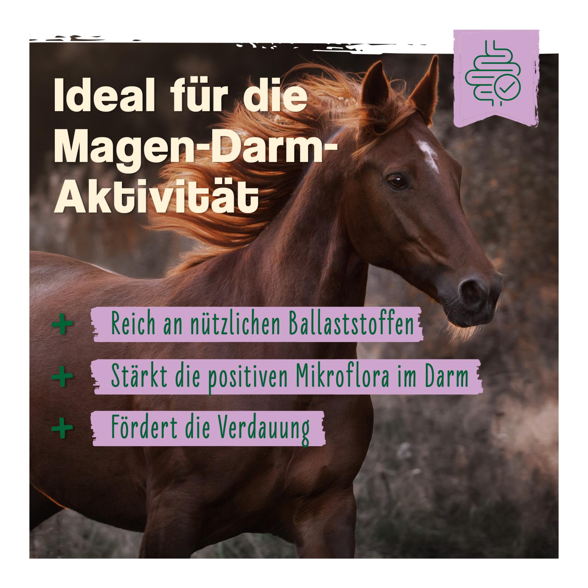 IdaPlus Bierhefe Bt - Futterergänzung für glänzendes Fell & kräftige Haut