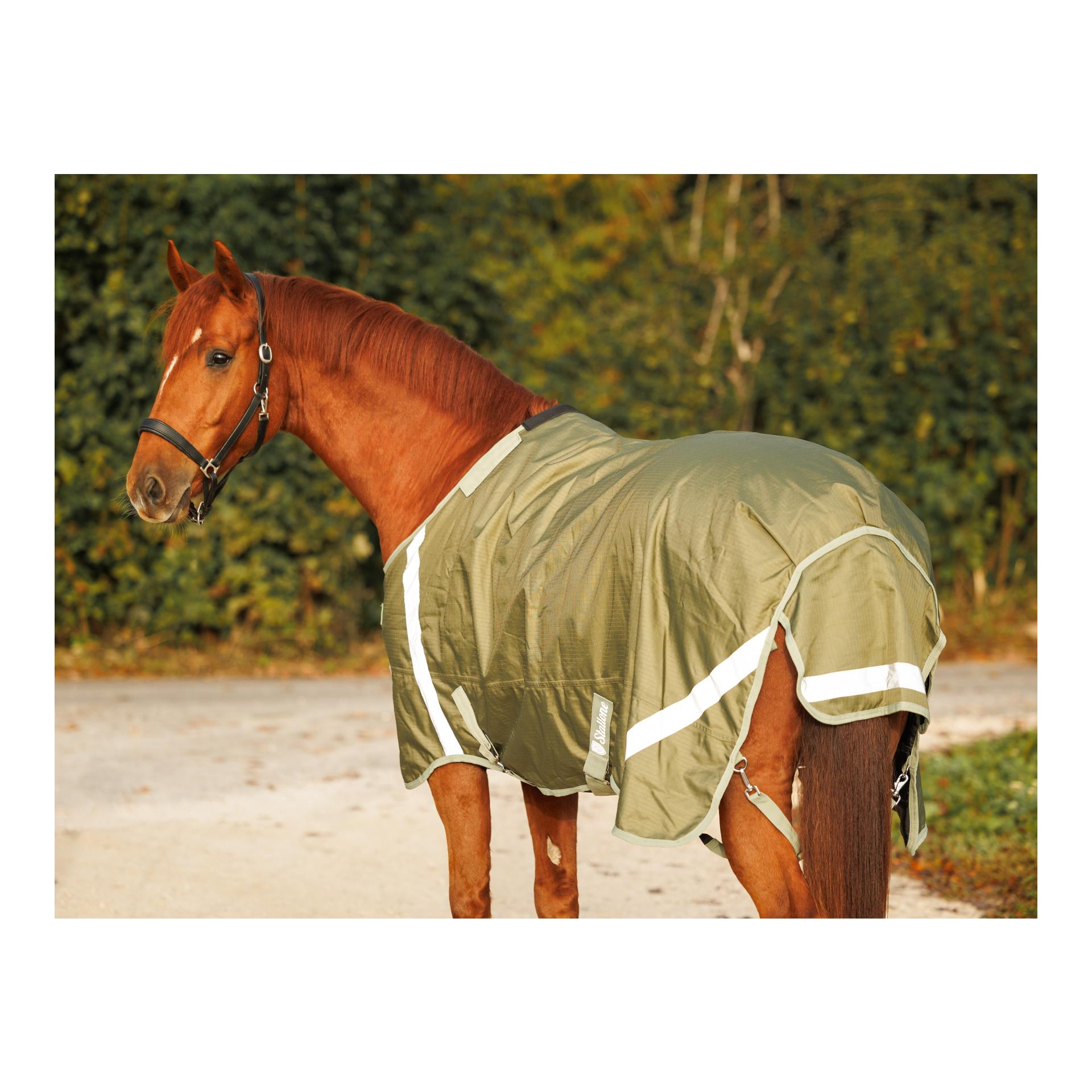 Stallone Weidedecke 50 g Outdoor Guard