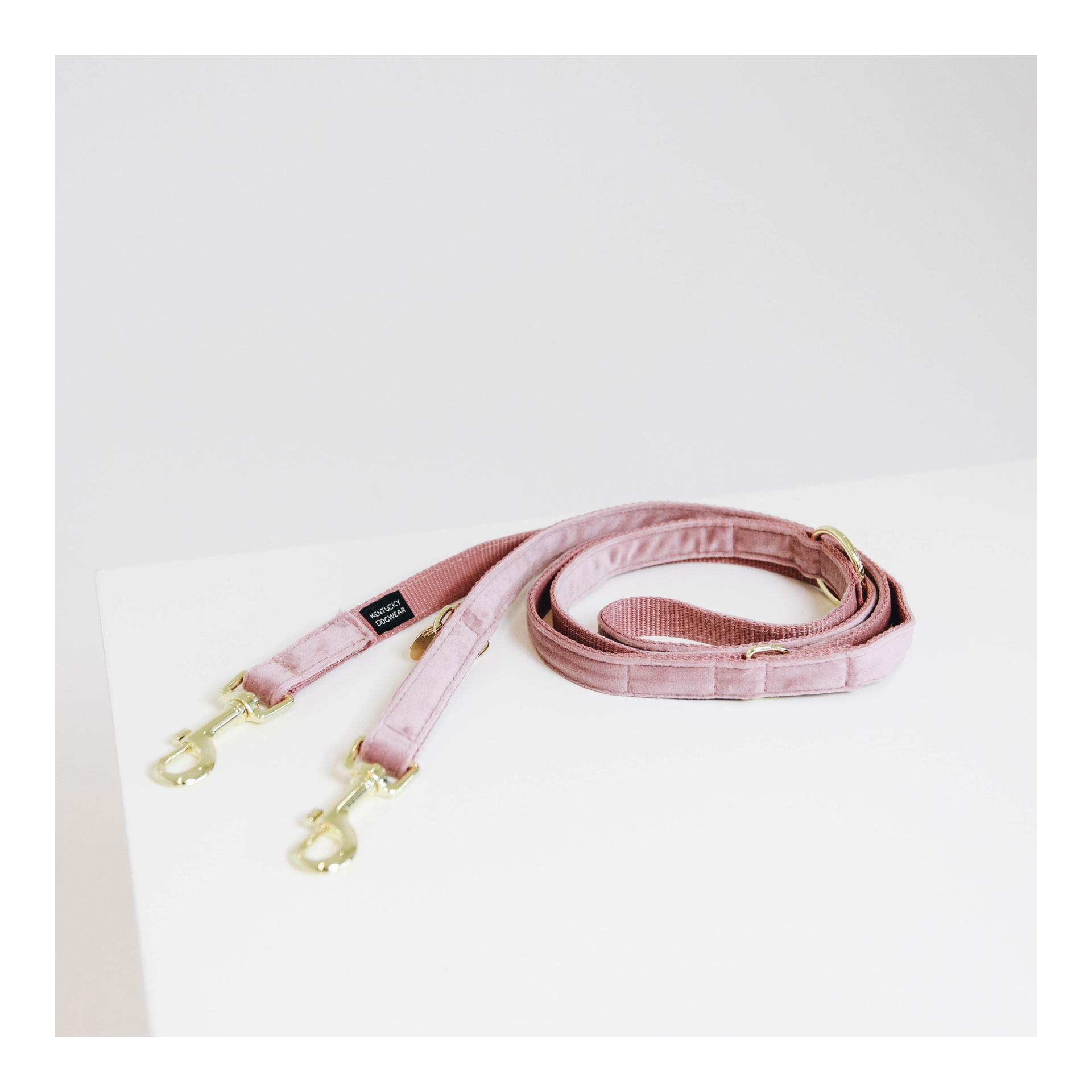Kentucky Dogwear Hundeleine Velvet - old rose