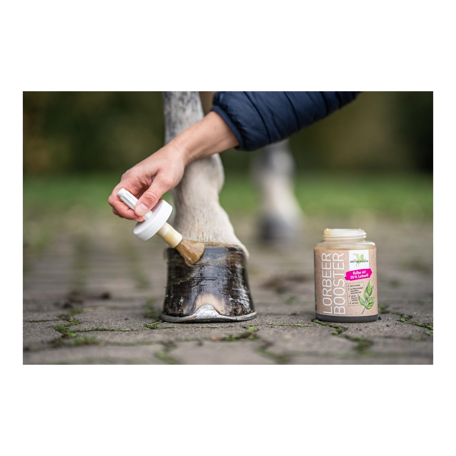 Bense&Eicke LorbeerBooster
